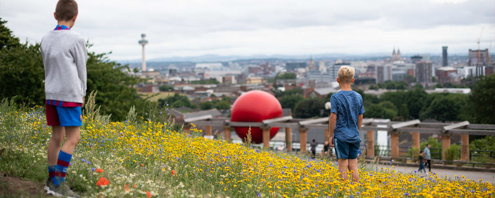 Two children stand on a grassy hillside covered in wildflowers in Everton, Liverpool. They look out over a city below. A large red sphere sits among structures in the distance. Buildings and a tower rise on the horizon in the distance.
